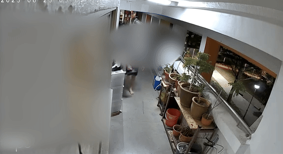 Người đàn ông bò qua nhà vào sáng sớm, gia chủ ngỡ ngàng với diễn biến 'không thể tin nổi' vài phút sau- Ảnh 2.