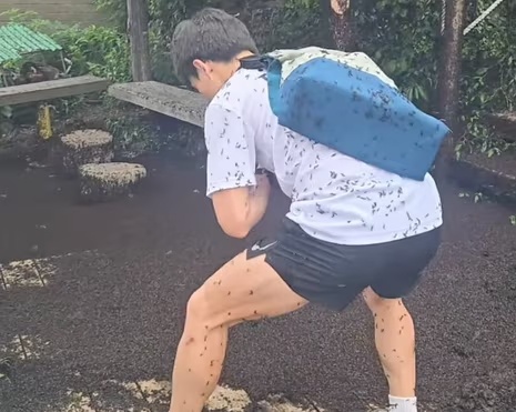 Hàn Quốc ngập tràn bọ tình yêu do nhiệt độ tăng cao- Ảnh 1.