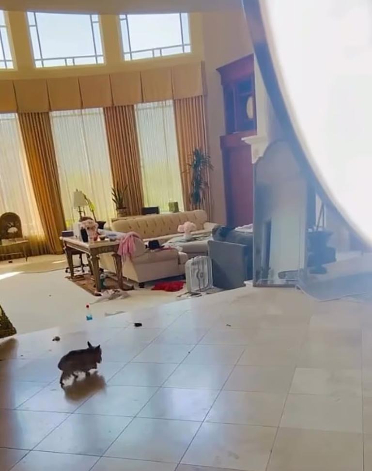 Có ai cứu được Britney Spears?- Ảnh 2. Có ai cứu được Britney Spears?- Ảnh 2.