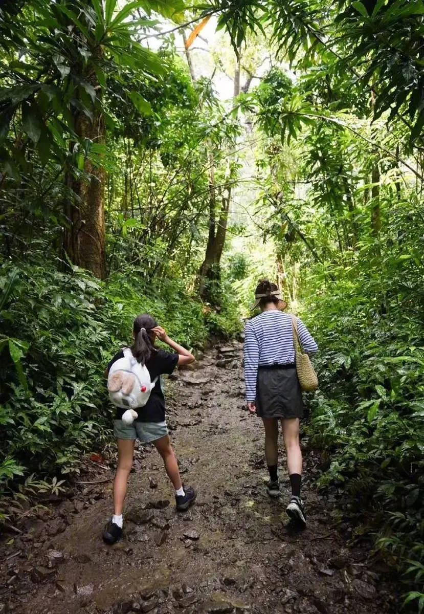 Tôn Lệ cùng chồng con trekking xuyên rừng: Hình ảnh giản dị mà ấm áp gây sốt mạng xã hội- Ảnh 7.