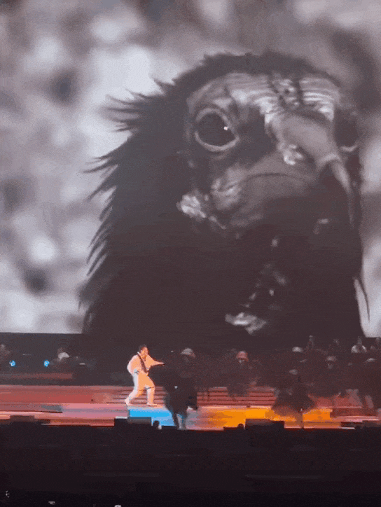 Những tai nạn kinh hoàng trên sân khấu: Trai trẻ bị màn hình 600kg rơi trúng, có người mất cả tính mạng- Ảnh 5.