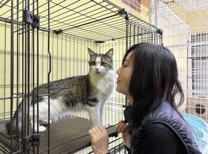 Kỳ tích sống sót của chú mèo bị nhốt 1 tháng ở nơi nóng như thiêu, không đồ ăn- Ảnh 3. Kỳ tích sống sót của chú mèo bị nhốt 1 tháng ở nơi nóng như thiêu, không đồ ăn- Ảnh 3.