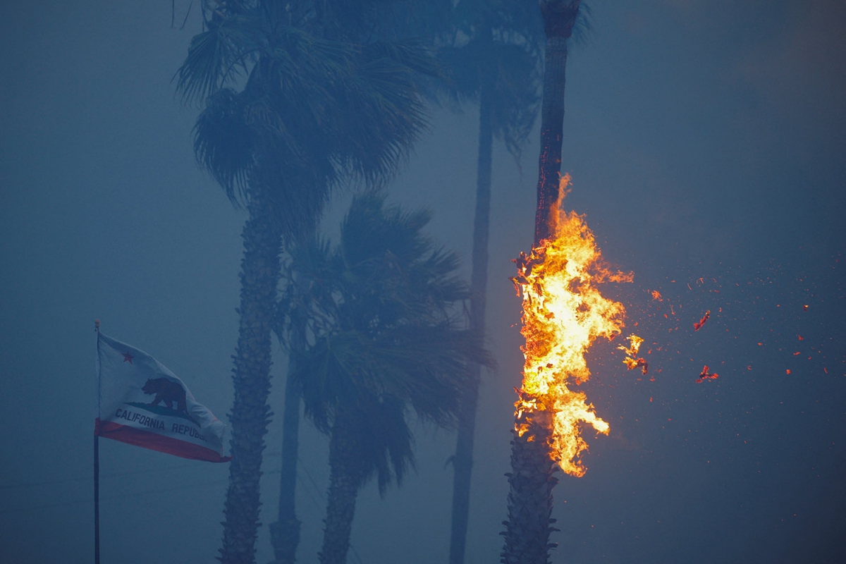 Cảnh tượng khủng khiếp như hỏa ngục trong vụ cháy rừng ở Los Angeles- Ảnh 7. Cảnh tượng khủng khiếp như hỏa ngục trong vụ cháy rừng ở Los Angeles- Ảnh 7.