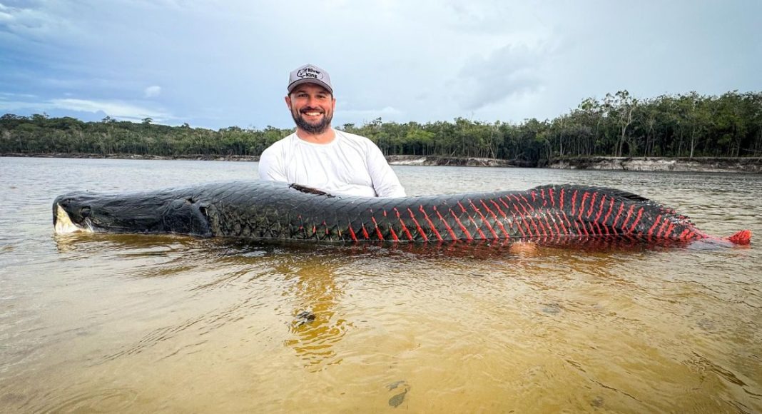 Cần thủ câu được con cá khổng lồ dài 2,2 mét, nặng 130kg trên sông- Ảnh 1.