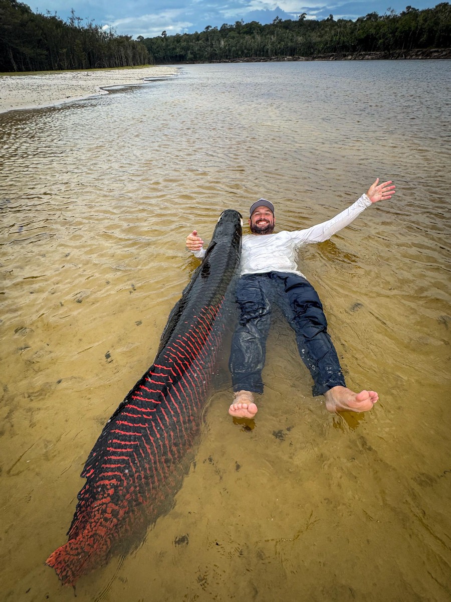 Cần thủ câu được con cá khổng lồ dài 2,2 mét, nặng 130kg trên sông- Ảnh 2.