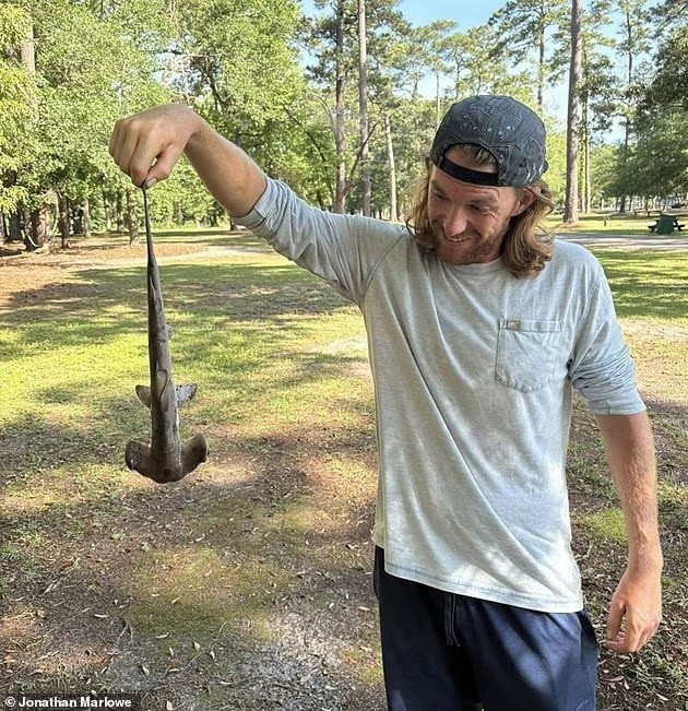 Cá mập rơi từ trời xuống sân golf: Hiện tượng gây sốc như phim viễn tưởng- Ảnh 3.