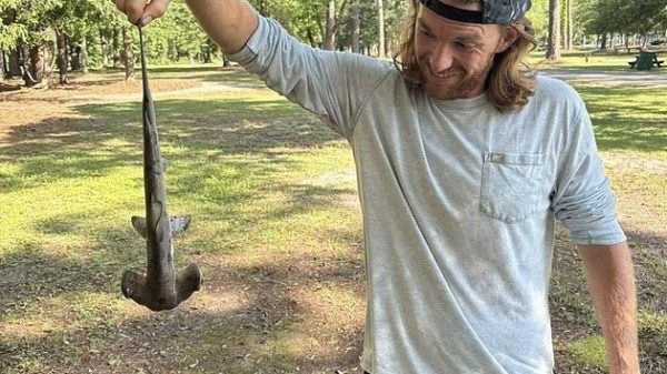 Cá mập rơi từ trời xuống sân golf: Hiện tượng gây sốc như phim viễn tưởng ca map roi tu troi xuong san golf hien tuong gay soc nhu phim vien tuong 2 1749627583517 1749627583645205095333