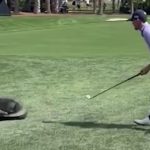 Người đàn ông dùng gậy golf xua đuổi cá sấu khổng lồ và cái kết bất ngờ ca sau 1740720185976989624833 1740735848106 17407358482432112082982 0 0 720 1152 crop 17407358573961375432850jpg