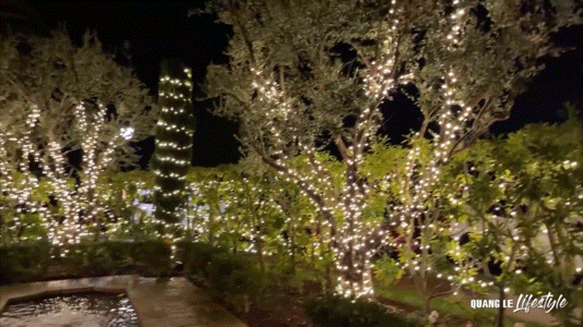 Sao nữ Vbiz lấy chồng tỷ phú: Quen qua app hẹn hò, biệt thự như resort có cả rạp chiếu phim- Ảnh 4.