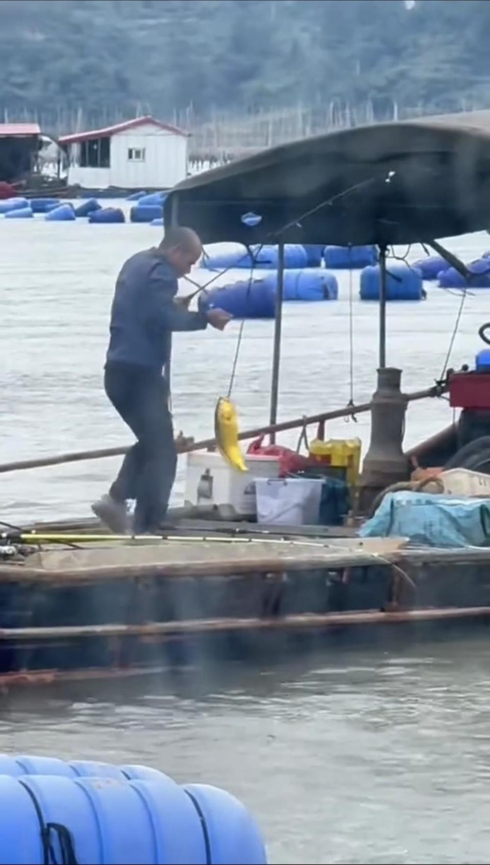 Người đàn ông câu được con cá vàng trị giá 74 triệu đồng trên biển- Ảnh 1.