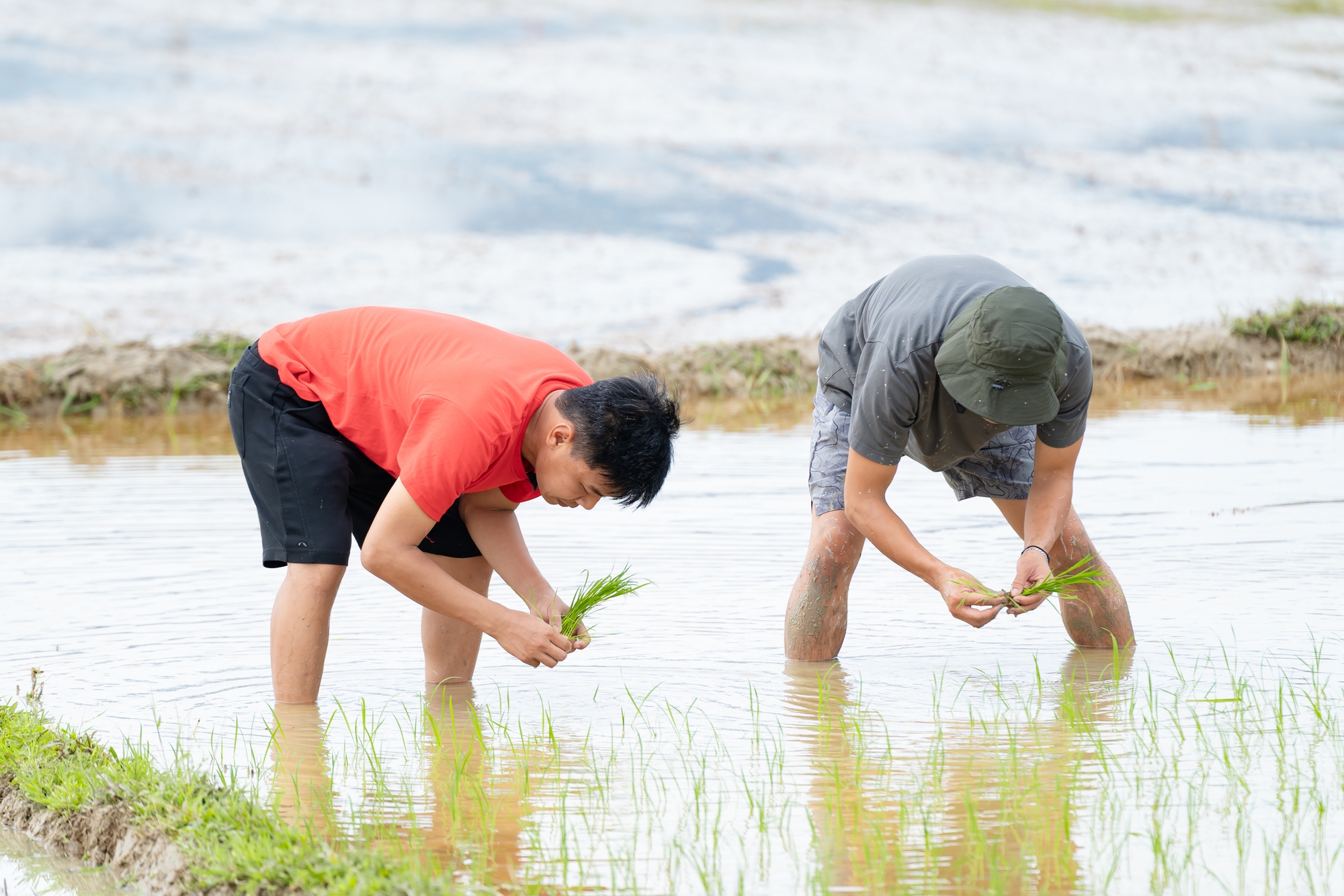 Tập 11 Bố Ơi Mình Đi Đâu Thế?: Dàn bố bỉm vùng lên