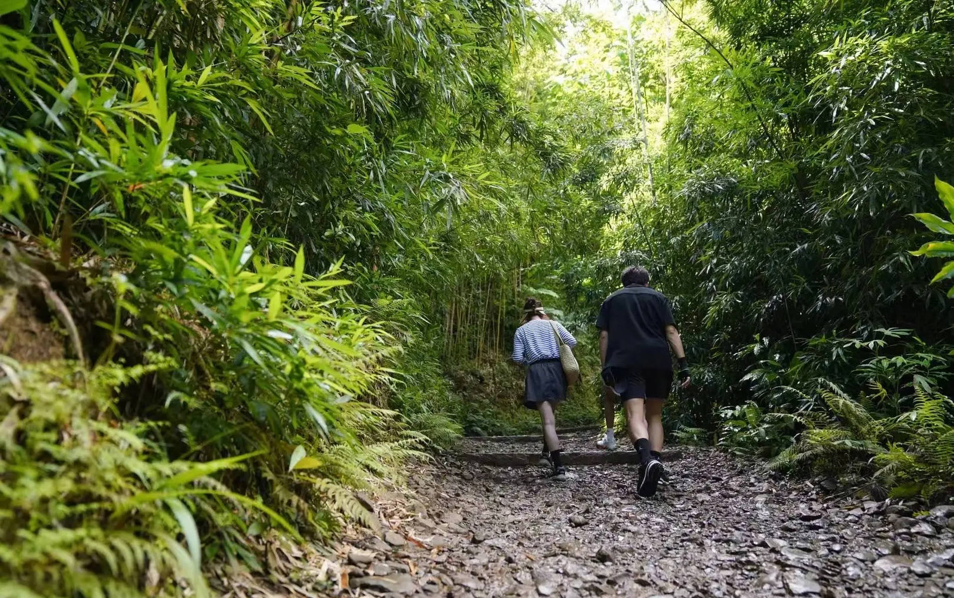 Tôn Lệ cùng chồng con trekking xuyên rừng: Hình ảnh giản dị mà ấm áp gây sốt mạng xã hội- Ảnh 8.