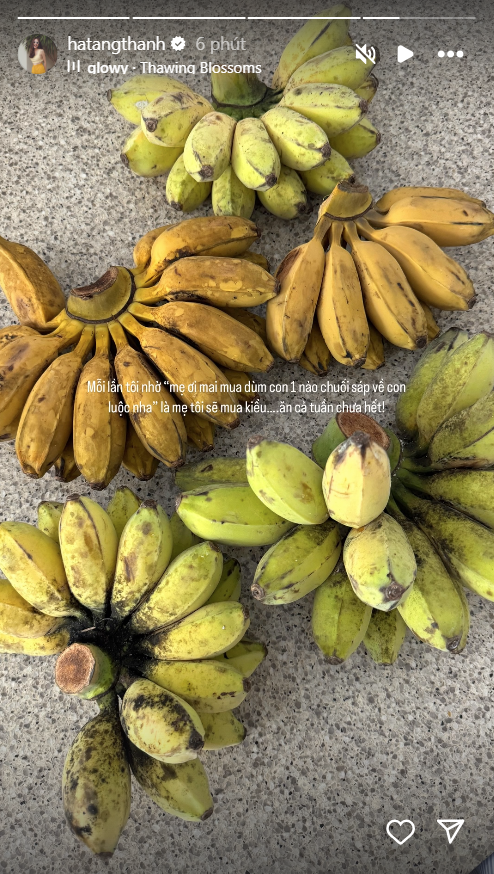 Nhà hào môn không thiếu sơn hào hải vị nhưng Hà Tăng