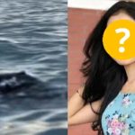 7 triệu người xem nữ diễn viên được anh bồ chính trị gia bơi vượt biển để gặp sau 11 lần bị phản bội casi1 17411373160511821105257 1 0 353 672 crop 17411373325571743920591jpg