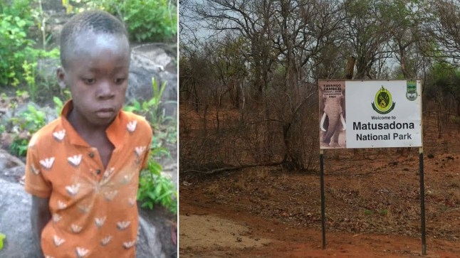 Cậu bé 7 tuổi sống sót sau 5 ngày đi lạc vào nơi có đầy sư tử- Ảnh 1. Cậu bé 7 tuổi sống sót sau 5 ngày đi lạc vào nơi có đầy sư tử- Ảnh 1.