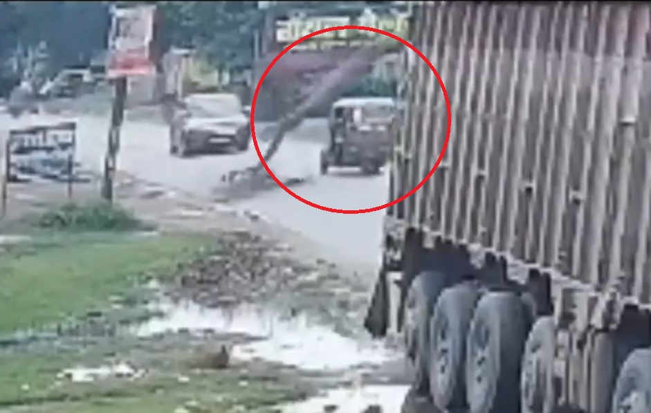 Cây xoài khô bất ngờ đổ xuống đường, đè trúng xe ba bánh- Ảnh 1.