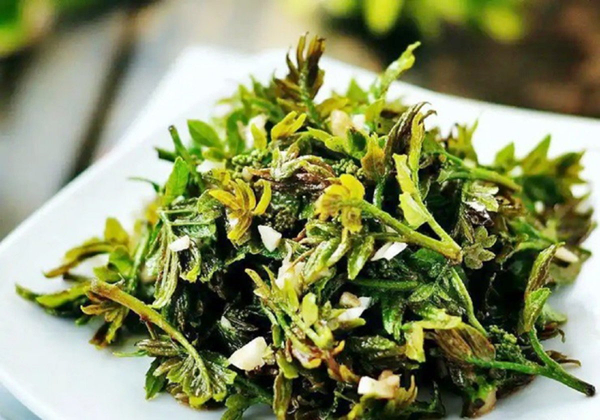 Cây xưa chỉ trồng lấy quả, nay hái lá đem bán cũng Cây xưa chỉ trồng lấy quả, nay hái lá đem bán cũng