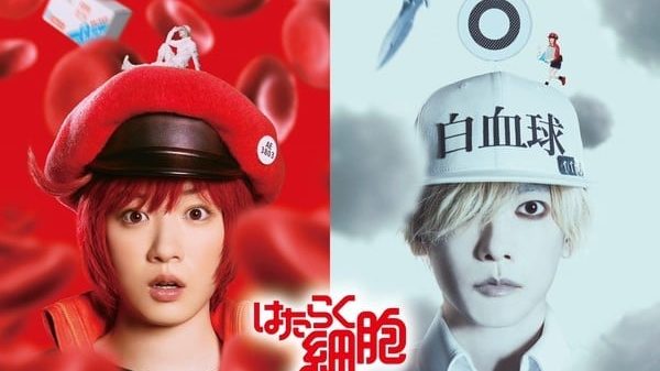 "Hataraku Saibō!!" làm mưa làm gió phòng vé Nhật Bản, fan Việt mong chờ ngày ra rạp 26 "Hataraku Saibō!!" làm mưa làm gió phòng vé Nhật Bản, fan Việt mong chờ ngày ra rạp cells2 nosqjpg