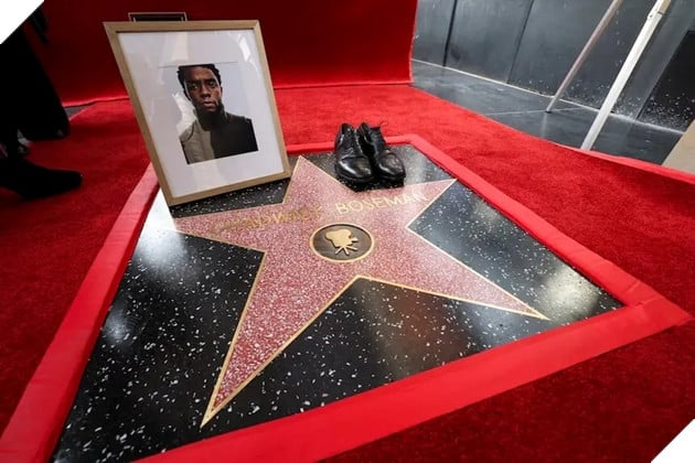 Hình ảnh ngôi sao danh vọng của Chadwick Boseman.