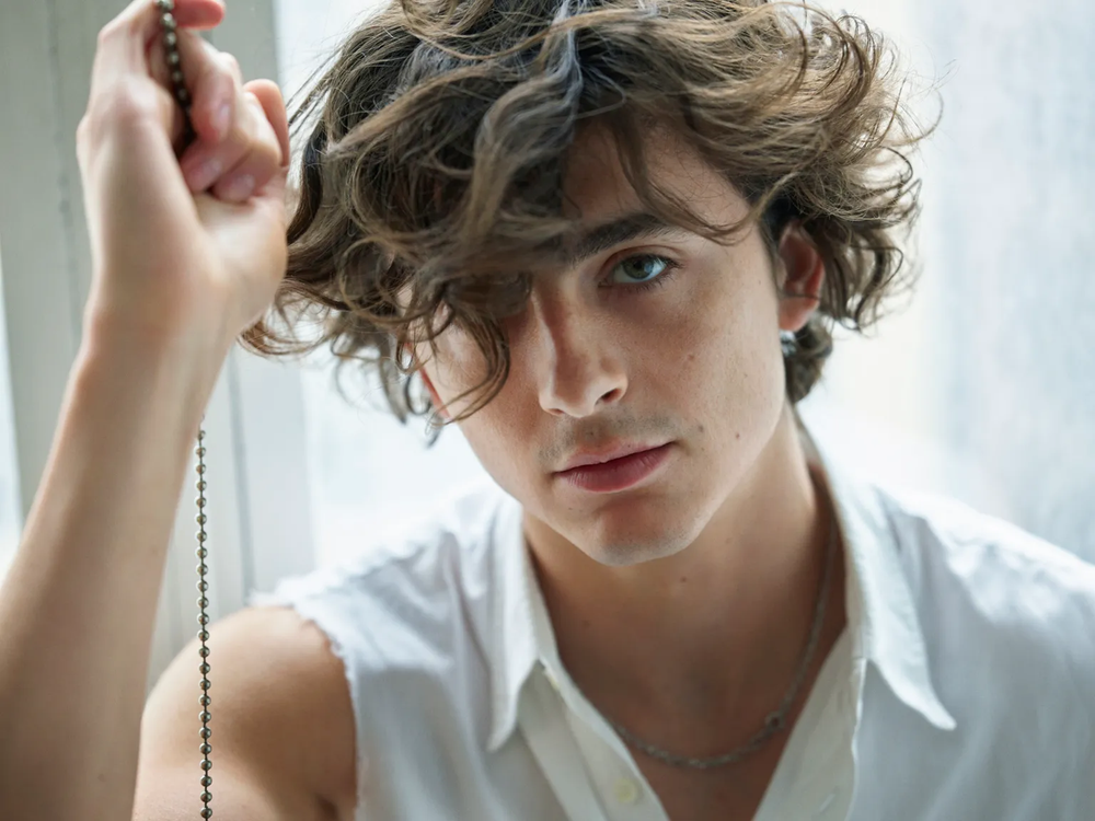 24 triệu người không tin đây là Timothée Chalamet, mỹ nam đẹp trai nhất thế giới làm sao thế này?- Ảnh 6. 24 triệu người không tin đây là Timothée Chalamet, mỹ nam đẹp trai nhất thế giới làm sao thế này?- Ảnh 6.