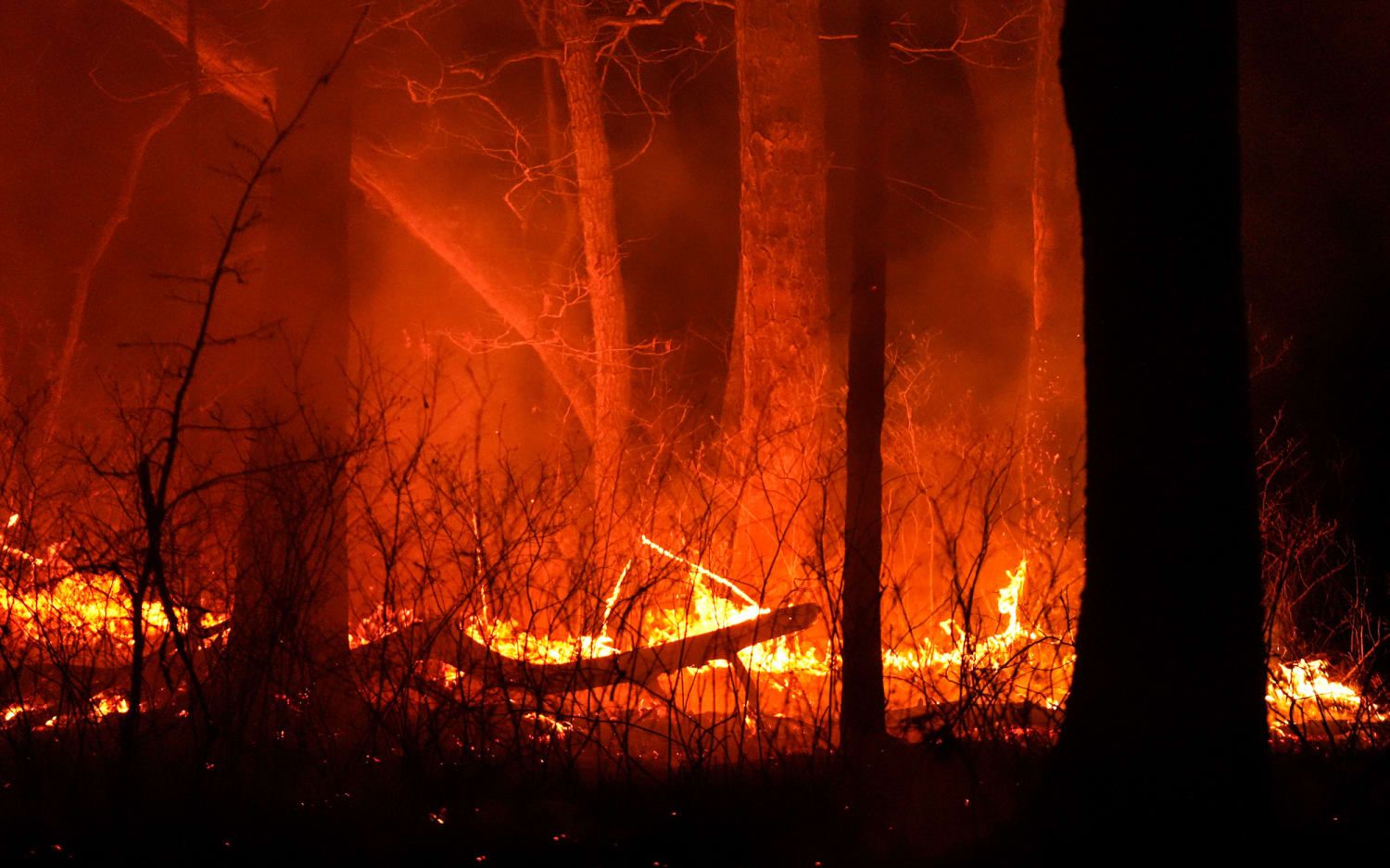 Mỹ: Cháy rừng lan rộng tại bang New Jersey- Ảnh 1. Mỹ: Cháy rừng lan rộng tại bang New Jersey- Ảnh 1.