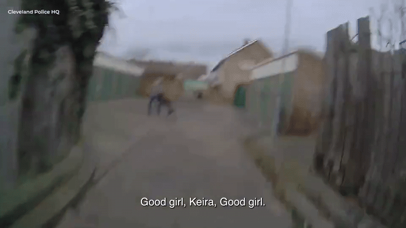 Cướp điện thoại và hành hung người phụ nữ, gã đàn ông phải hét lên khi gặp 1 thứ, cầu xin được buông tha- Ảnh 2. Cướp điện thoại và hành hung người phụ nữ, gã đàn ông phải hét lên khi gặp 1 thứ, cầu xin được buông tha- Ảnh 2.