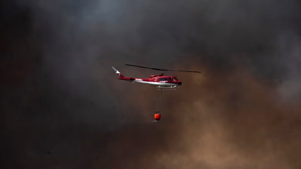 Mỹ: Cháy rừng lan rộng tại bang New Jersey 30 Mỹ: Cháy rừng lan rộng tại bang New Jersey chay 3 38954582482550313256586 1745454175162 17454541752421457490745