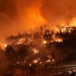 Sóng nhiệt càn quét khắp thế giới, nắng nóng cực đoan xuất hiện nhiều nơi chay rung 07363532 1754355387408 1754355387570404830268 0 72 405 720 crop 1754355438588564670003jpg