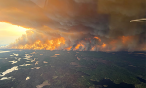 Cháy rừng dữ dội tại California, hơn 339 km² bị thiêu rụi, 4 người bị thương- Ảnh 9.