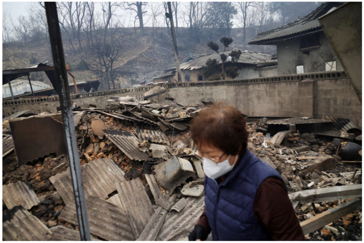 Khung cảnh hoang tàn tại Hàn Quốc sau một tuần đám cháy rừng bùng phát- Ảnh 4.