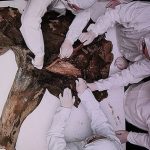 Các nhà khoa học chuẩn bị đối phó với loại virus mới có thể gây ra đại dịch tiếp theo trên toàn cầu cherscanbeseengatheringsamplesfromyanaforfurther a 431744739124979 17447736577402050314589 1744774822879 174477482297871352899 11 0 407 634 crop 174477484758426285747jpg