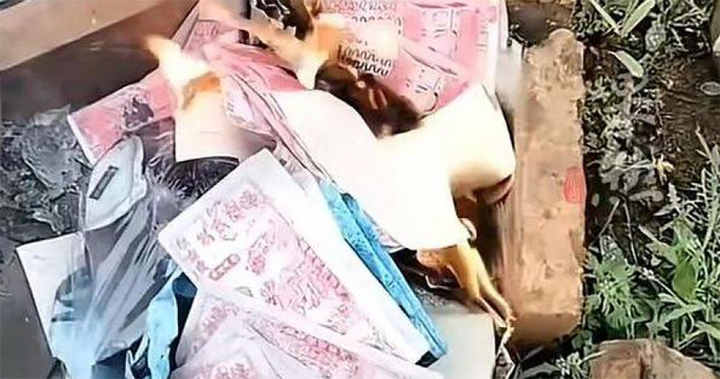 Tranh chấp đất đai, em trai chôn thuốc nổ trong mộ anh khiến 3 cháu thiệt mạng- Ảnh 2.