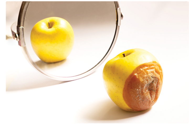 Cuộc đua tỷ USD đi tìm thuốc 'trường sinh bất lão'- Ảnh 4. Cuộc đua tỷ USD đi tìm thuốc 'trường sinh bất lão'- Ảnh 4.