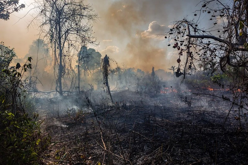 15 thảm họa thiên nhiên kinh hoàng tưởng như chỉ có trong phim- Ảnh 5. 15 thảm họa thiên nhiên kinh hoàng tưởng như chỉ có trong phim- Ảnh 5.