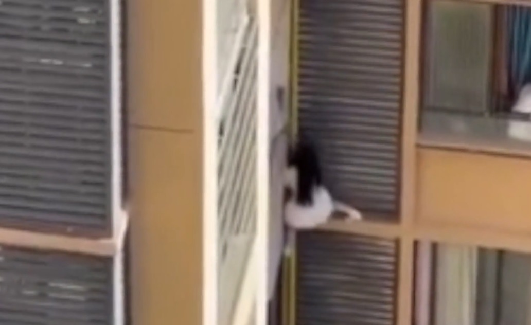 Người phụ nữ trèo ra khỏi cửa sổ căn hộ chung cư khiến hàng xóm sốc nặng- Ảnh 1. Người phụ nữ trèo ra khỏi cửa sổ căn hộ chung cư khiến hàng xóm sốc nặng- Ảnh 1.