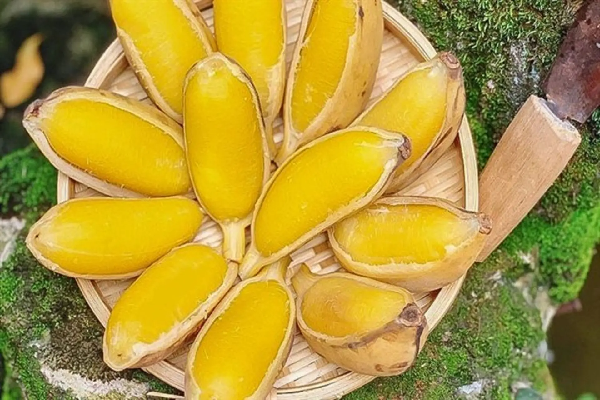 Nhà hào môn không thiếu sơn hào hải vị nhưng Hà Tăng