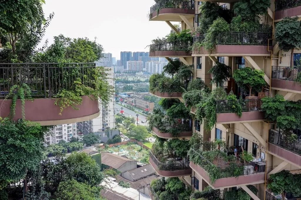 Vỡ mộng với chốn phồn hoa đô thị, giới trẻ Trung Quốc đổ xô tới ‘thành phố hạnh phúc nhất đất nước’ lập nghiệp: “Mức lương ở đây đủ để mua bất cứ thứ gì tôi muốn”- Ảnh 2. Vỡ mộng với chốn phồn hoa đô thị, giới trẻ Trung Quốc đổ xô tới ‘thành phố hạnh phúc nhất đất nước’ lập nghiệp: “Mức lương ở đây đủ để mua bất cứ thứ gì tôi muốn”- Ảnh 2.