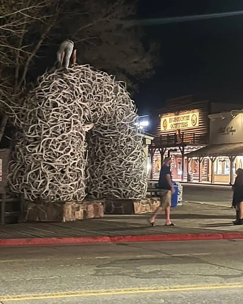 Người đàn ông say xỉn leo vòm gạc nai để