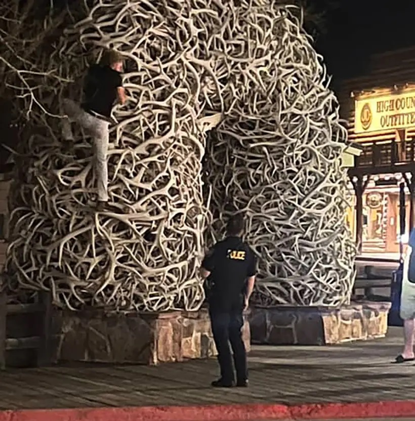 Người đàn ông say xỉn leo vòm gạc nai để