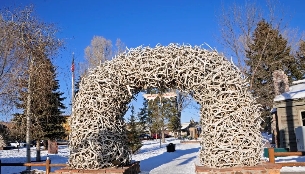 Cổng vòm gạc nai ở Jackson, Wyoming. (Ảnh: Getty Images)