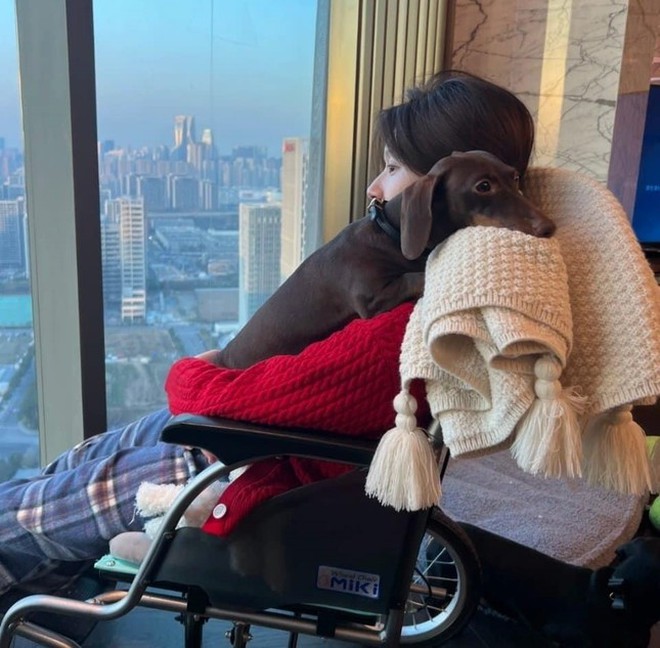 Tình trạng Triệu Lộ Tư- Ảnh 5.