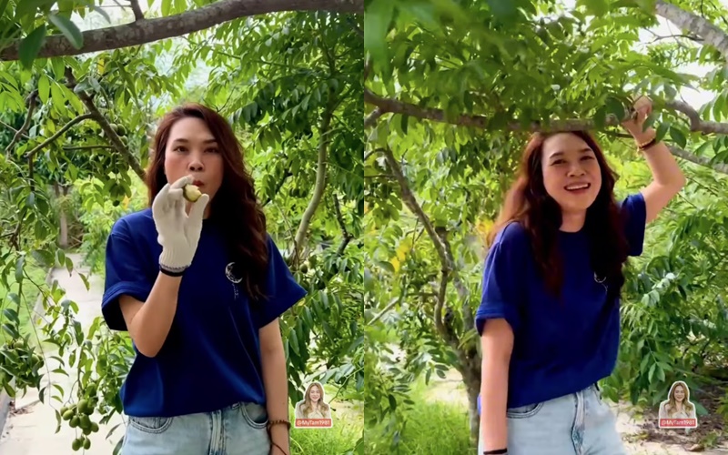 Thú vui đặc biệt của Mỹ Tâm: Trong nhà nữ ca sĩ có gì mà mới Thú vui đặc biệt của Mỹ Tâm: Trong nhà nữ ca sĩ có gì mà mới