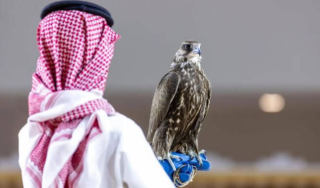 Con chim được bán với giá 4,5 tỷ đồng, đại gia vẫn xuống tiền mua- Ảnh 2.