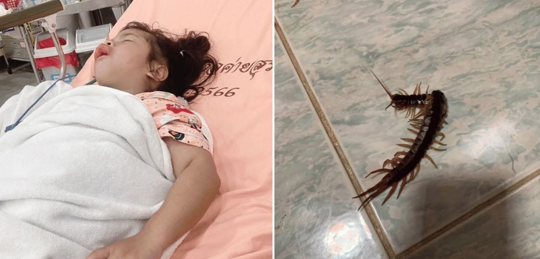 Con gái 3 tuổi đột nhiên hét lên đau đớn giữa đêm, mẹ bước vào phòng thì sốc nặng- Ảnh 2. Con gái 3 tuổi đột nhiên hét lên đau đớn giữa đêm, mẹ bước vào phòng thì sốc nặng- Ảnh 2.