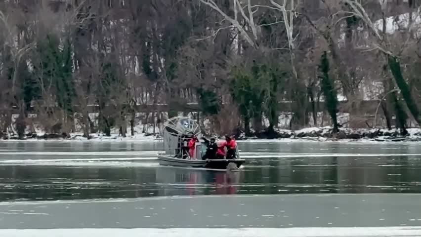 lực lượng chức năng tiếp cận con hươu. lực lượng chức năng tiếp cận con hươu.