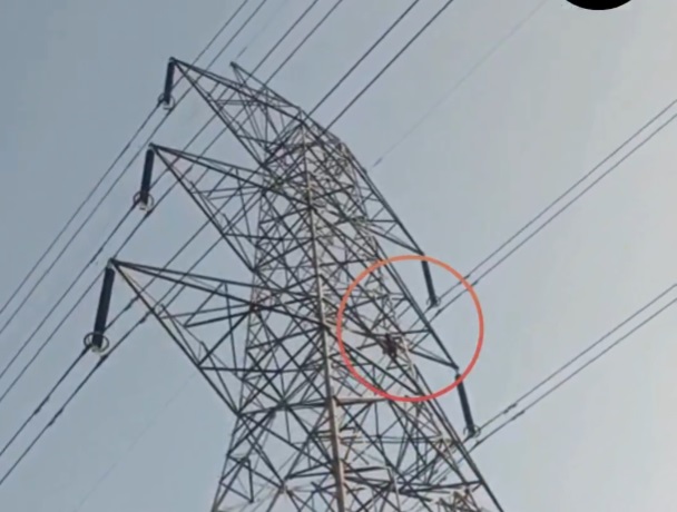 Bị từ chối kết hôn, nam thanh niên trèo lên cột điện đòi tự tử- Ảnh 1.