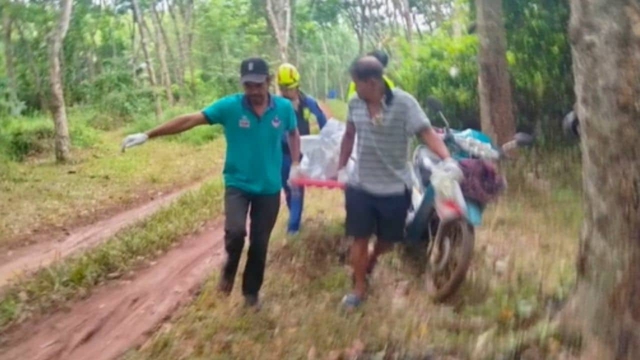 Đi với bạn trai vào đồn điền cao su, 1 lúc sau người phụ nữ bị phát hiện tử vong, hiện trường thương tâm- Ảnh 1.