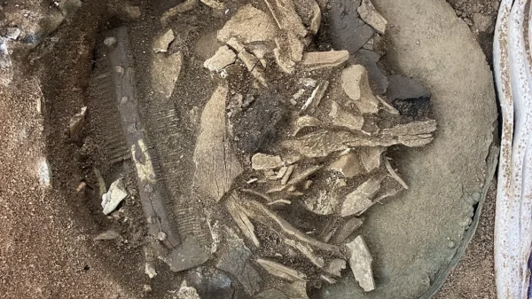 Phát hiện nội dung bí ẩn bên trong chiếc bình hơn 1.000 năm tuổi 29 Phát hiện nội dung bí ẩn bên trong chiếc bình hơn 1.000 năm tuổi cremated human and animal bone within bucket base credit fas heritage 34636399304934060833790 1748422284803 17484222850031141042807