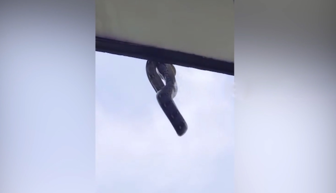 Nhìn ra cửa sổ, học sinh la hét khi thấy cảnh tượng đáng sợ- Ảnh 1. Nhìn ra cửa sổ, học sinh la hét khi thấy cảnh tượng đáng sợ- Ảnh 1.