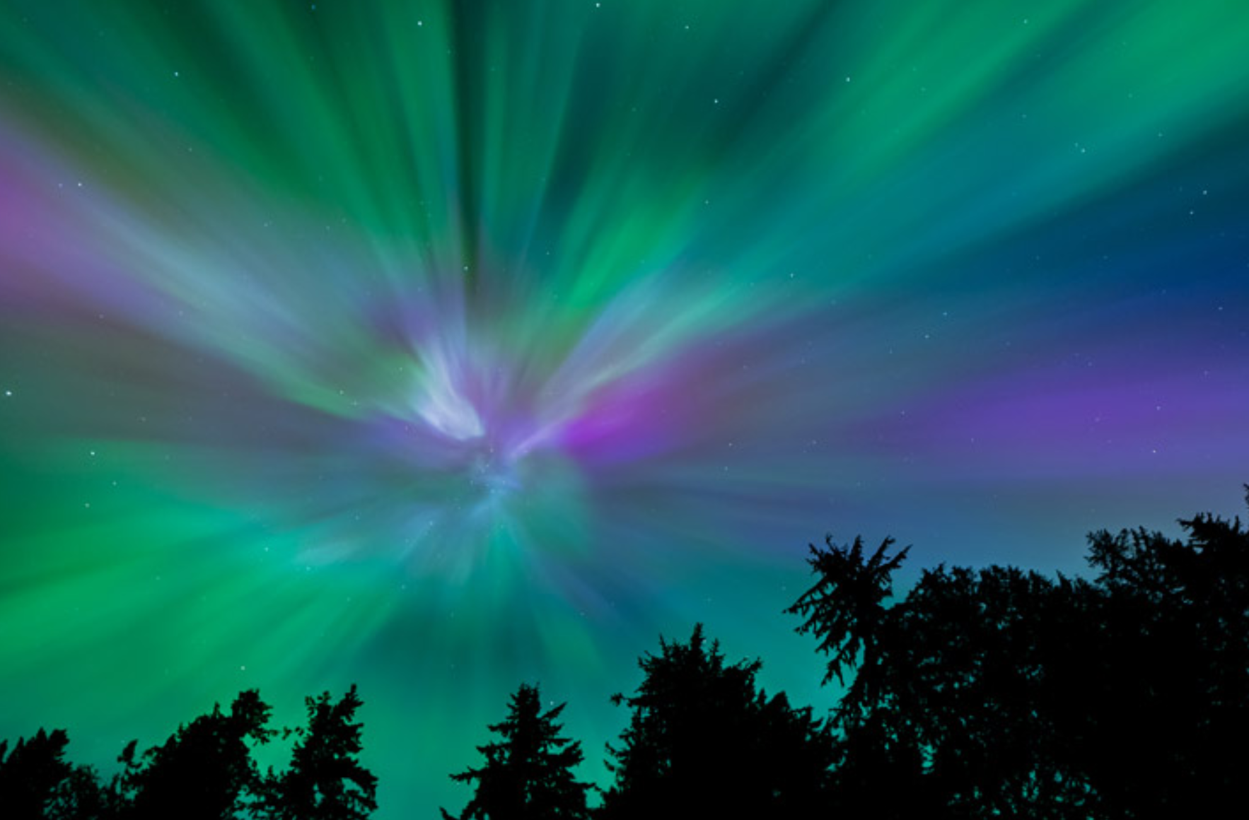 Ngắm cực quang rực rỡ bao phủ Trái Đất từ Trạm Vũ trụ Quốc tế- Ảnh 2. Ngắm cực quang rực rỡ bao phủ Trái Đất từ Trạm Vũ trụ Quốc tế- Ảnh 2.